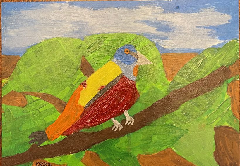 Polly the Painted Bunting