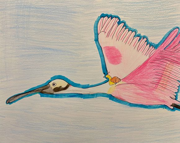 The Most Unlikely Friends