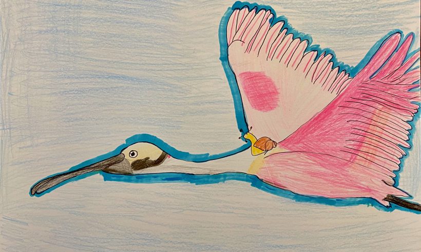 The Most Unlikely Friends