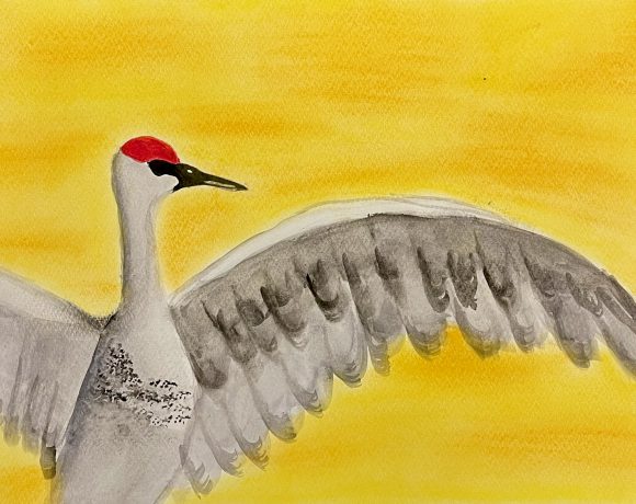 Sandhill Crane in a Sunset