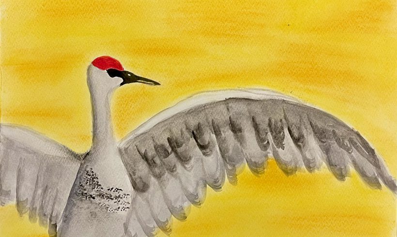 Sandhill Crane in a Sunset