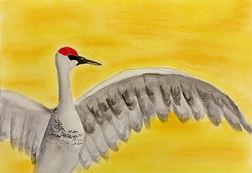 Sandhill Crane in a Sunset