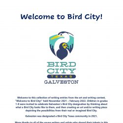 Welcome to Bird City!- A Collection of Written Entries