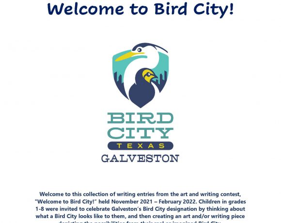 Welcome to Bird City!- A Collection of Written Entries