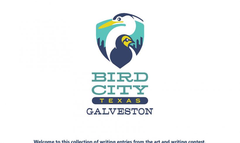 Welcome to Bird City!- A Collection of Written Entries