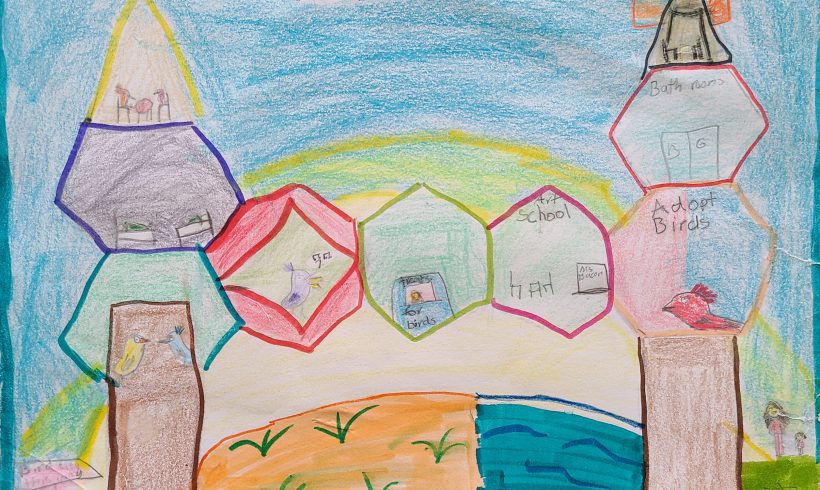 Welcome to Bird City