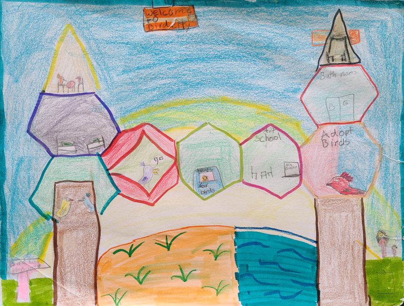 Welcome to Bird City