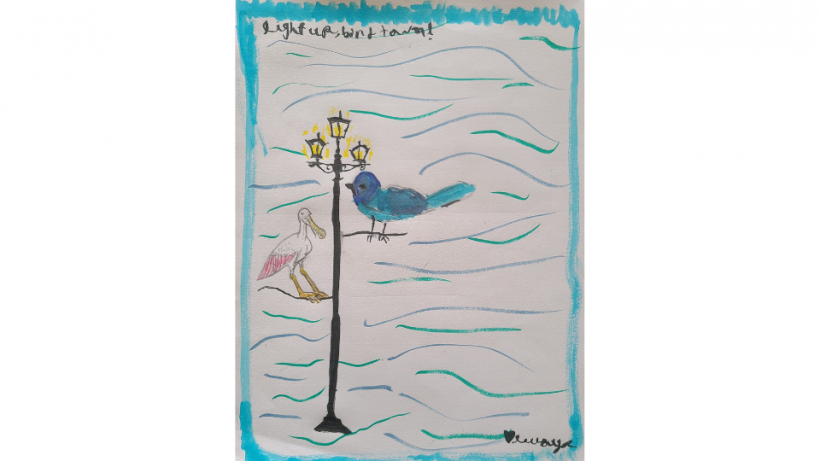 Light Up, Bird Town!