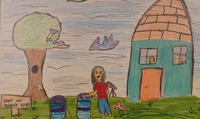 Here We Protect Birds