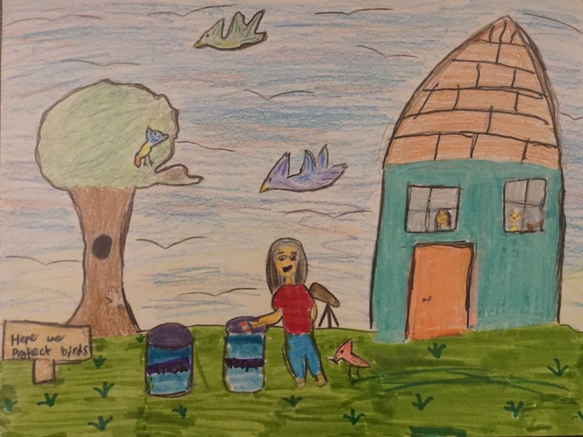 Here We Protect Birds