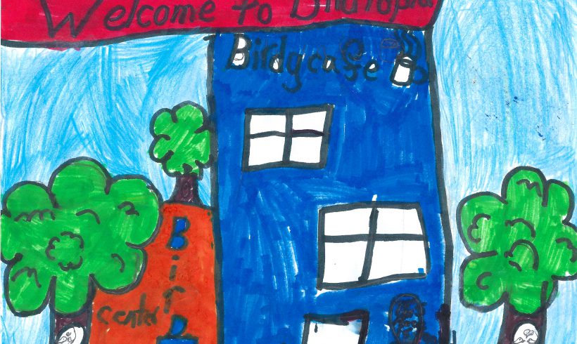 Welcome to Birdtopia