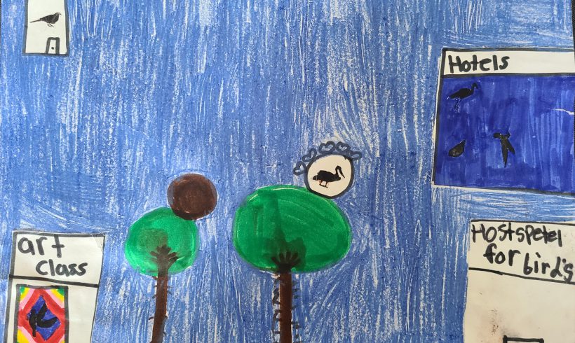 Taking Care of Birds