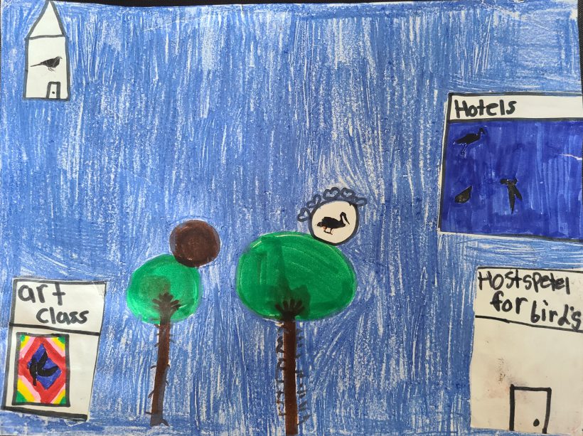 Taking Care of Birds