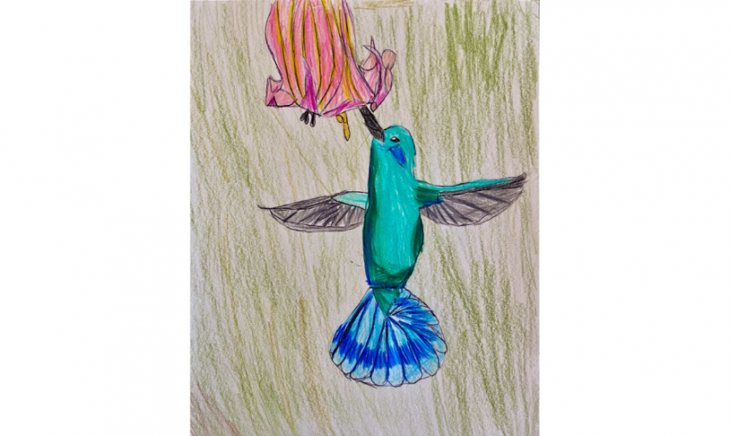 Feathers, Flight, & Song Contest Entry