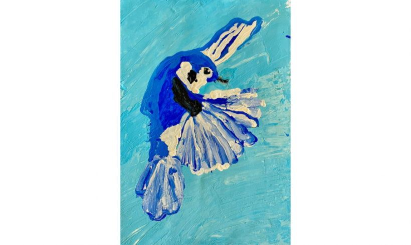 Soaring Blue Jay*